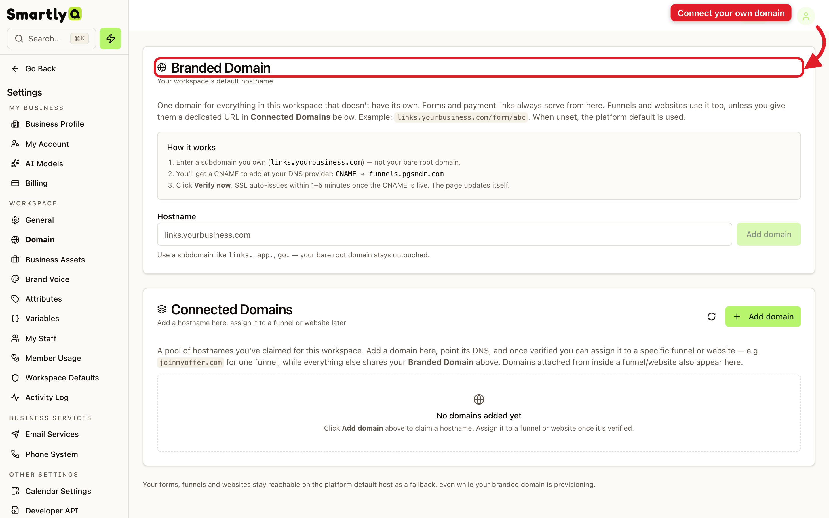 The Branded Domain settings