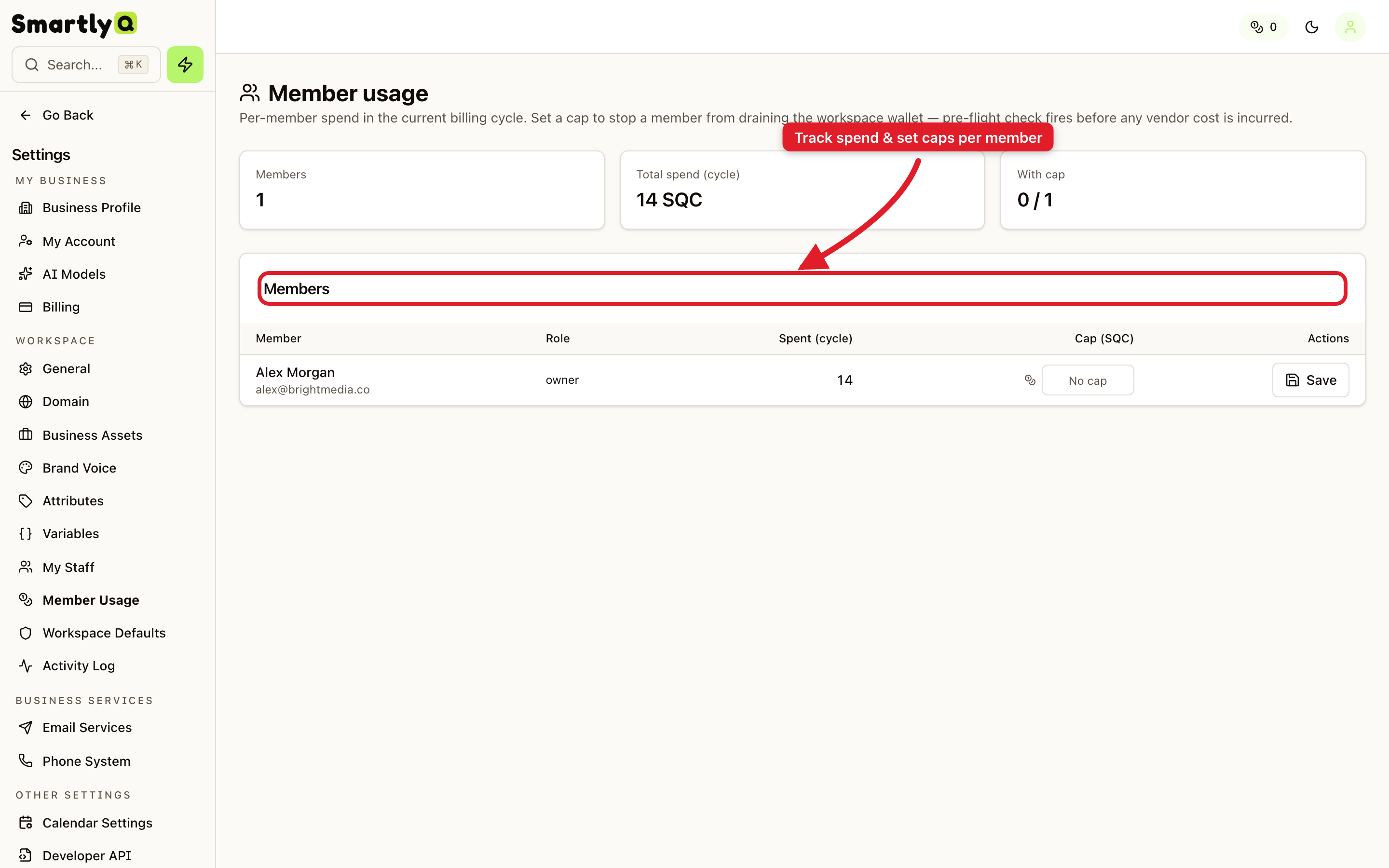 Member usage showing per-member spend and spend caps